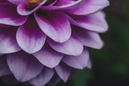 A calm, welcoming therapy space
